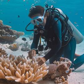 leahanasworldoftravel.com