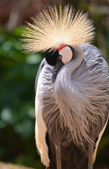 leahanasworldoftravel.com