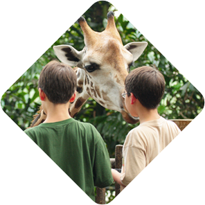 leahanasworldoftravel.com