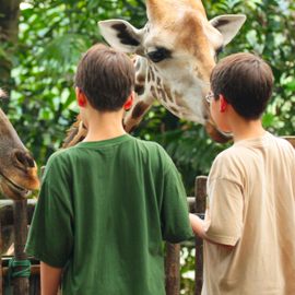 leahanasworldoftravel.com