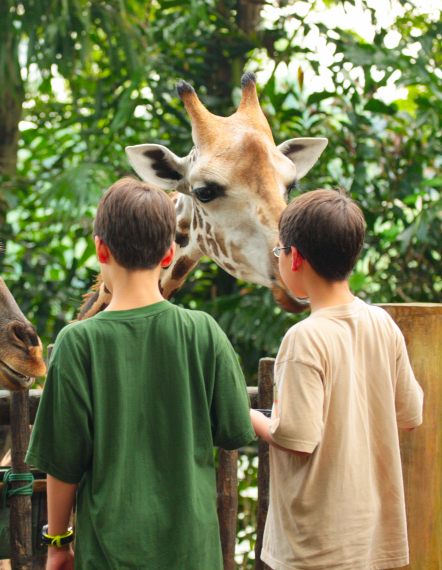 leahanasworldoftravel.com