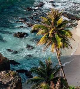 leahanasworldoftravel.com